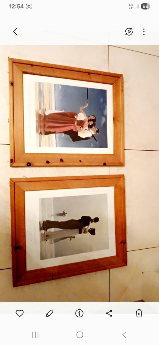 Pine pictures - Image 2