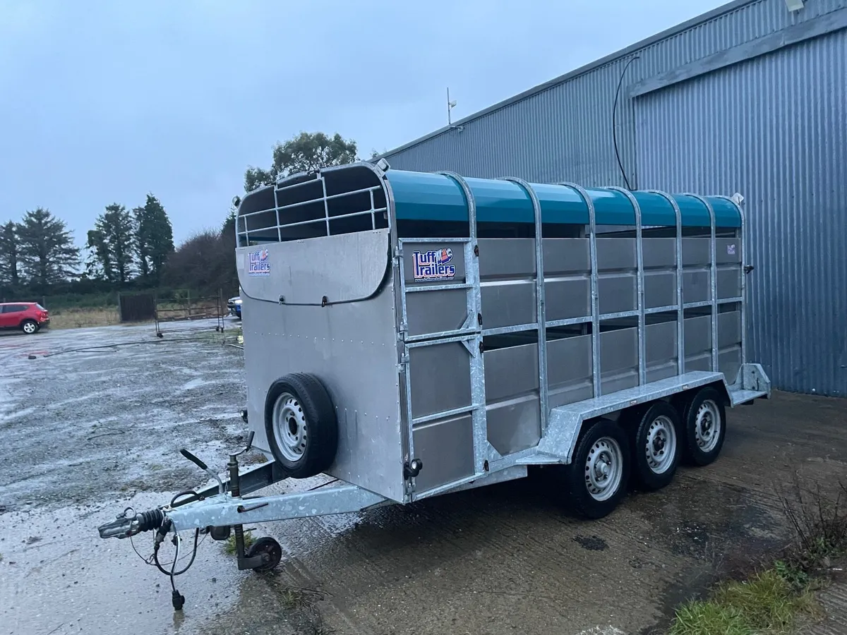 Tuffmac Cattle trailer - Image 2