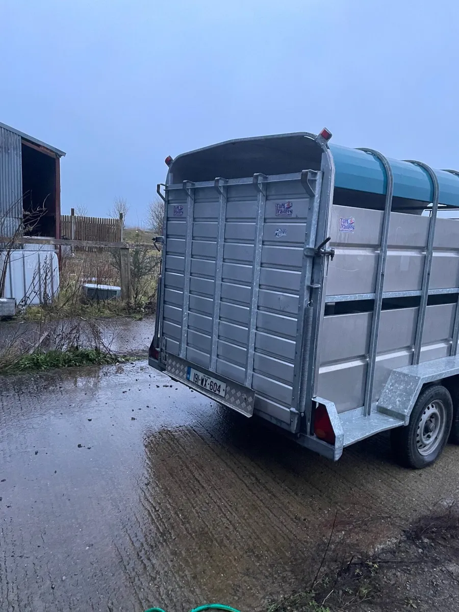 Tuffmac Cattle trailer - Image 4