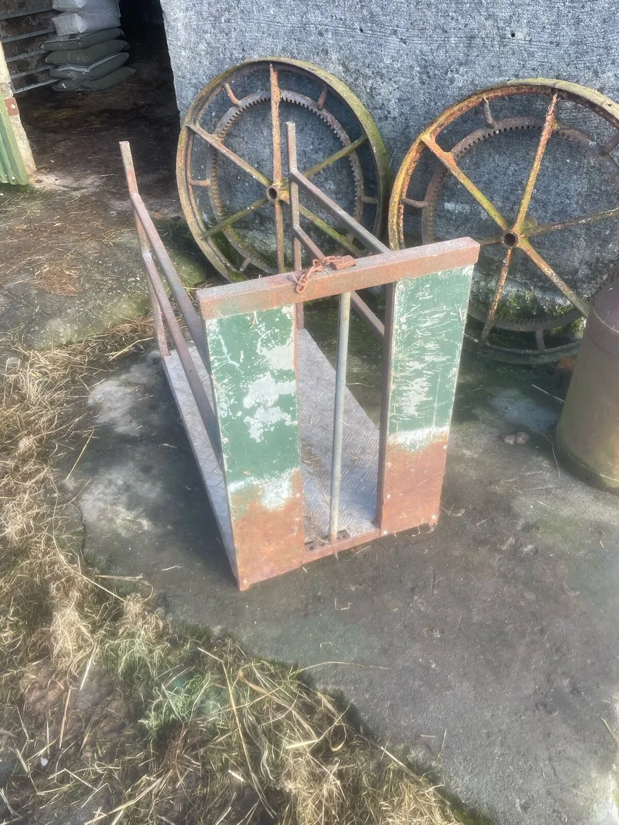 Ewe adopting crate - Image 1