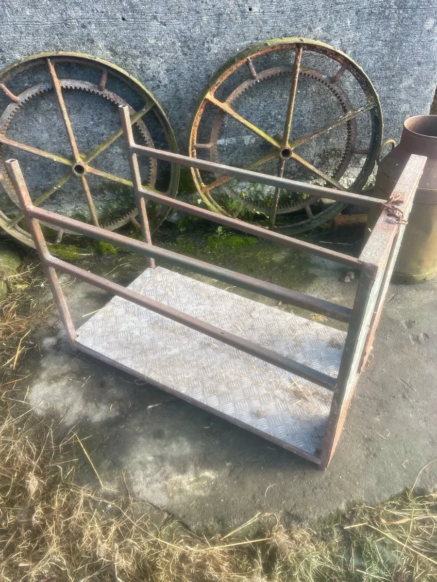 Ewe adopting crate - Image 2