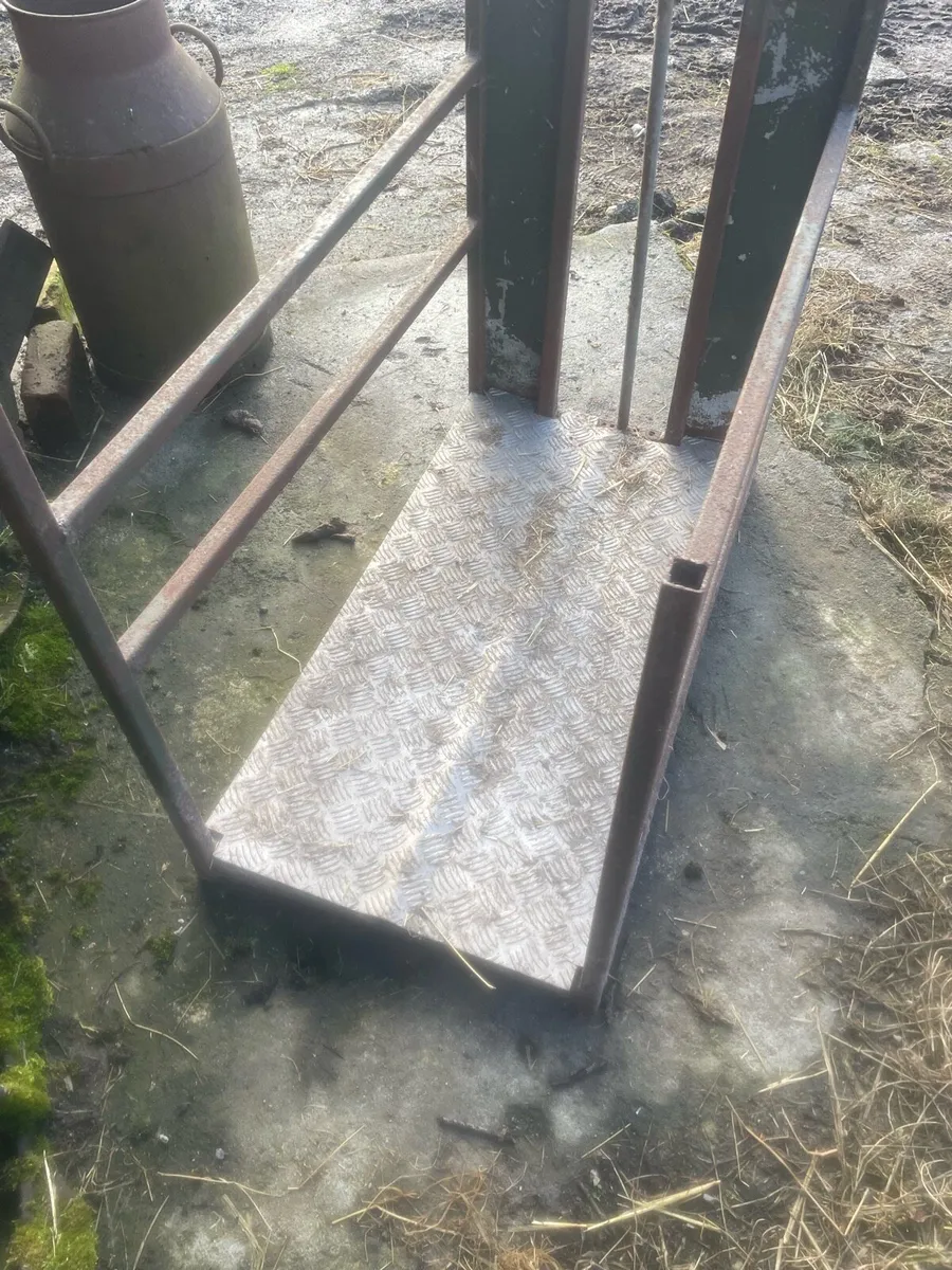 Ewe adopting crate - Image 3