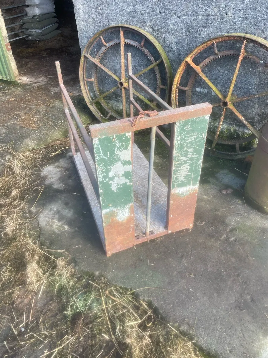 Ewe adopting crate - Image 4