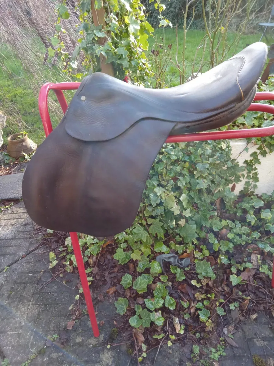 Pony Saddle - 16" Berney Pony Saddle - Image 1