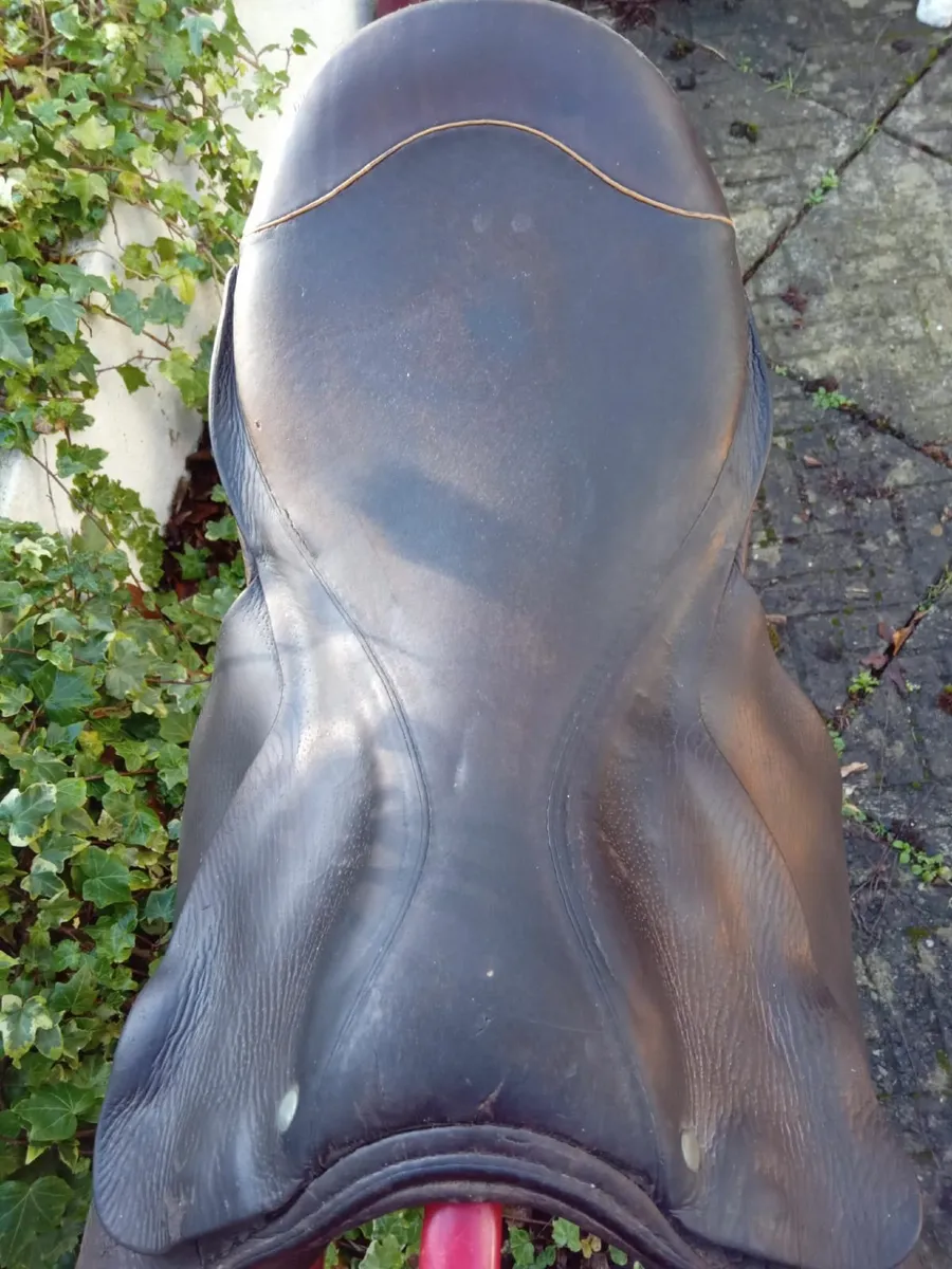 Pony Saddle - 16" Berney Pony Saddle - Image 3