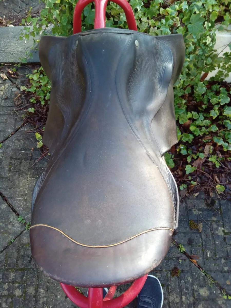 Pony Saddle - 16" Berney Pony Saddle - Image 4