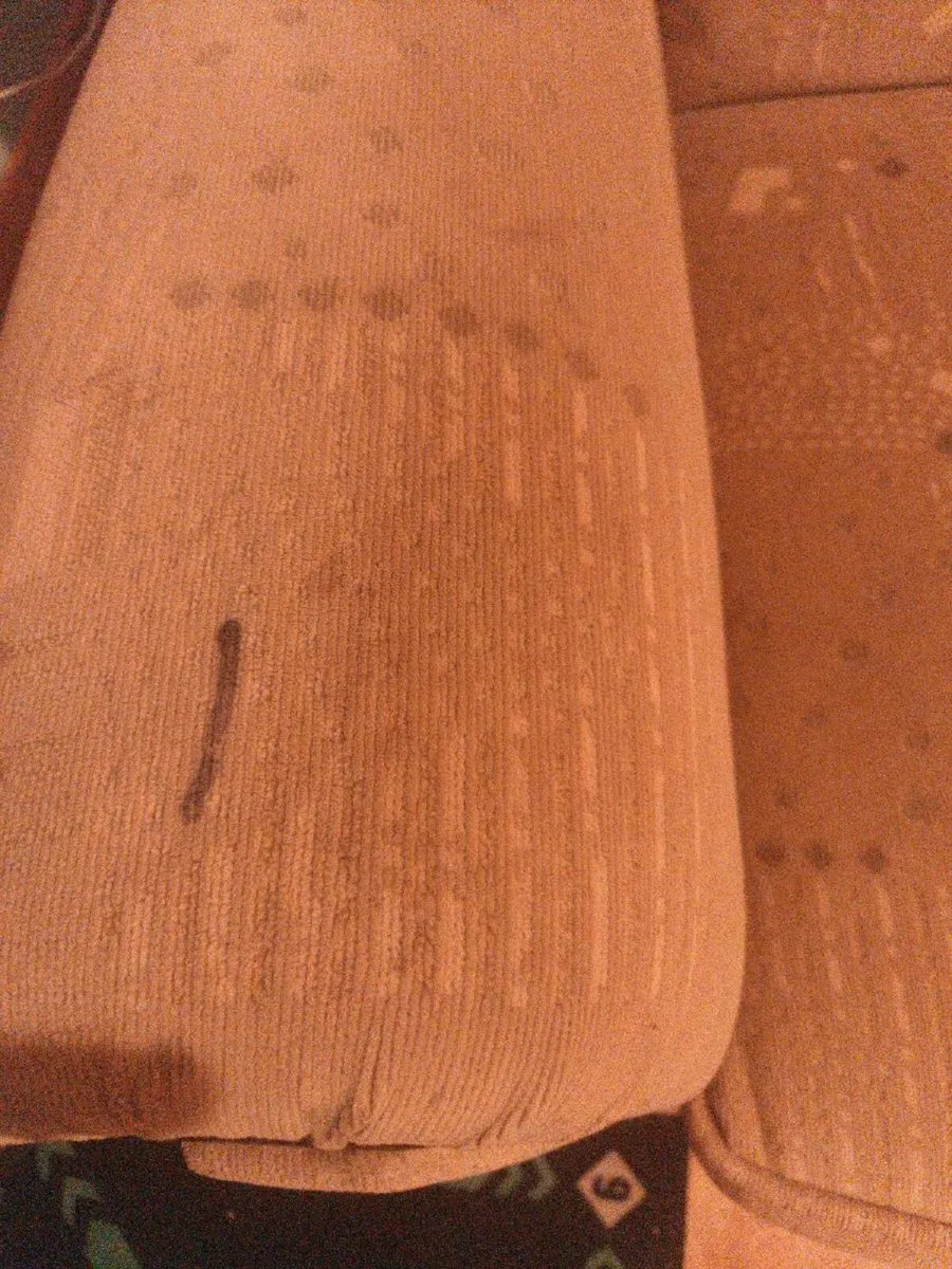 Beige 2-seater couch for sale - Image 3