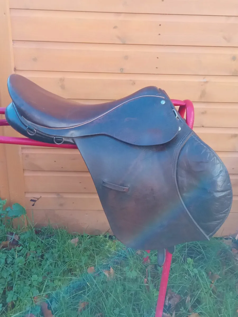 Horse Saddle - Goodwin Saddle - Image 2