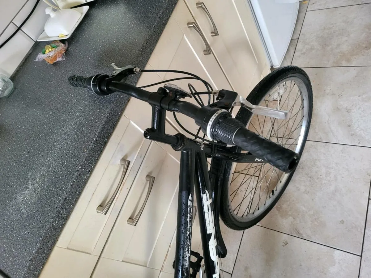 Ladies bike - Image 3