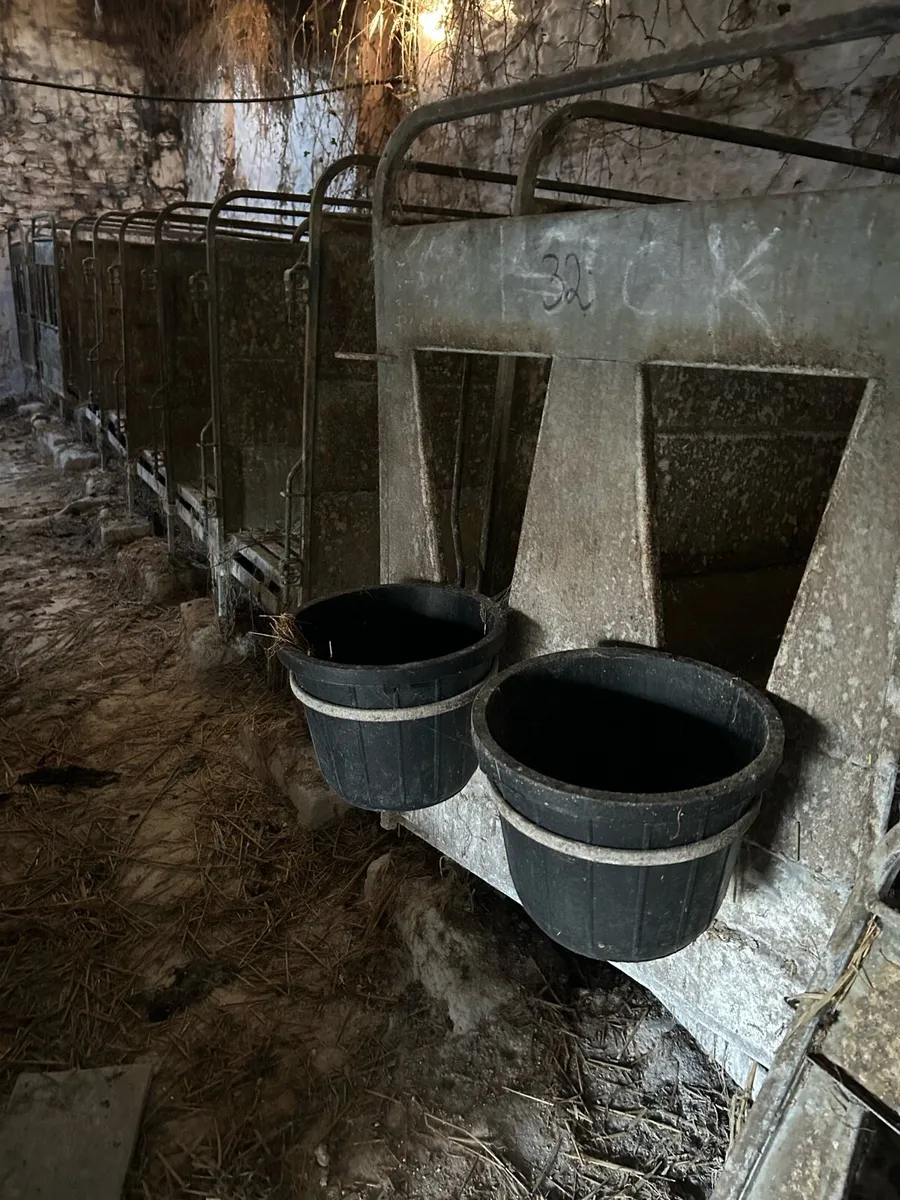 Calf single pens group pens o Donovan engineering - Image 1