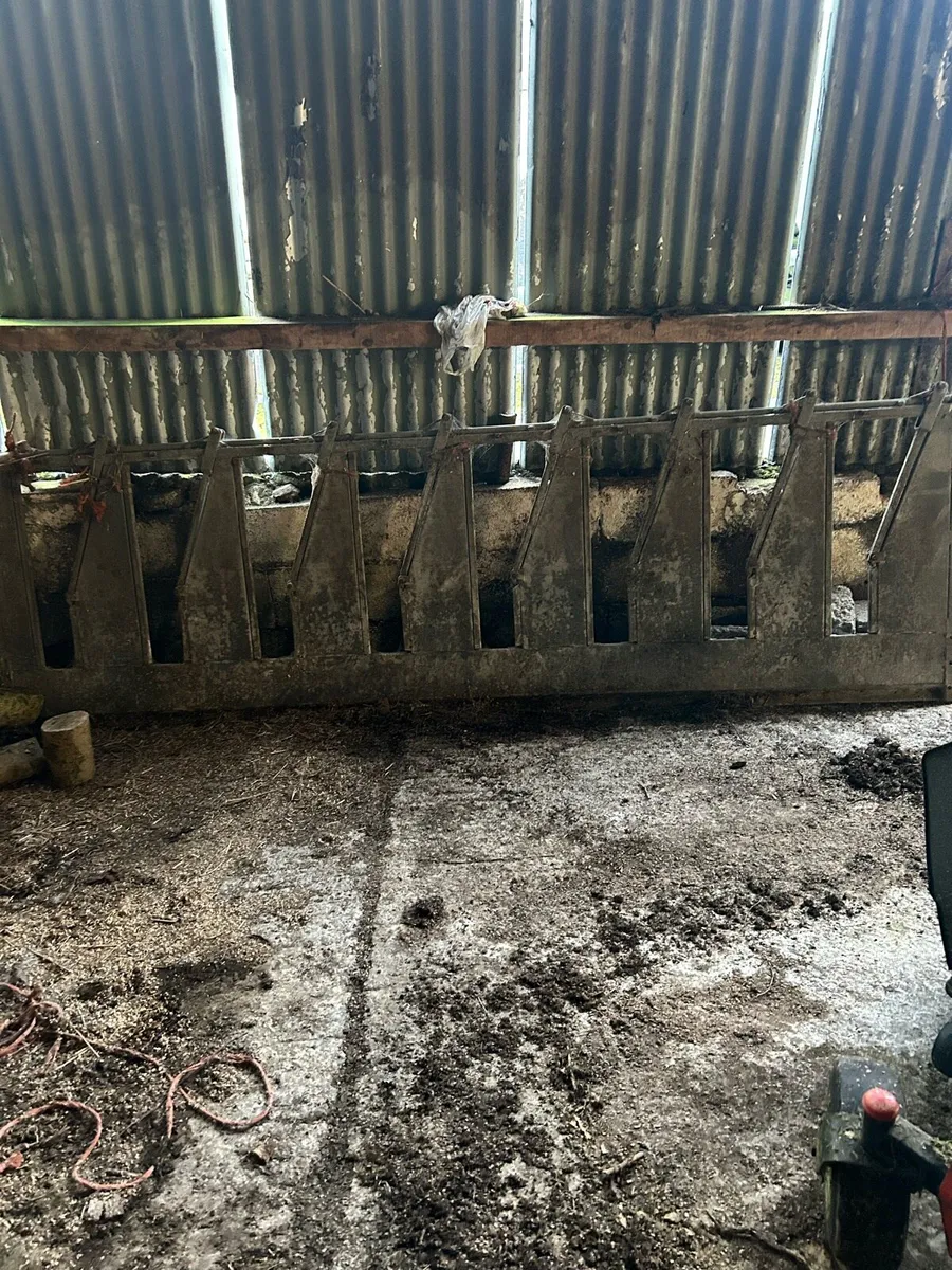 Calf single pens group pens o Donovan engineering - Image 4