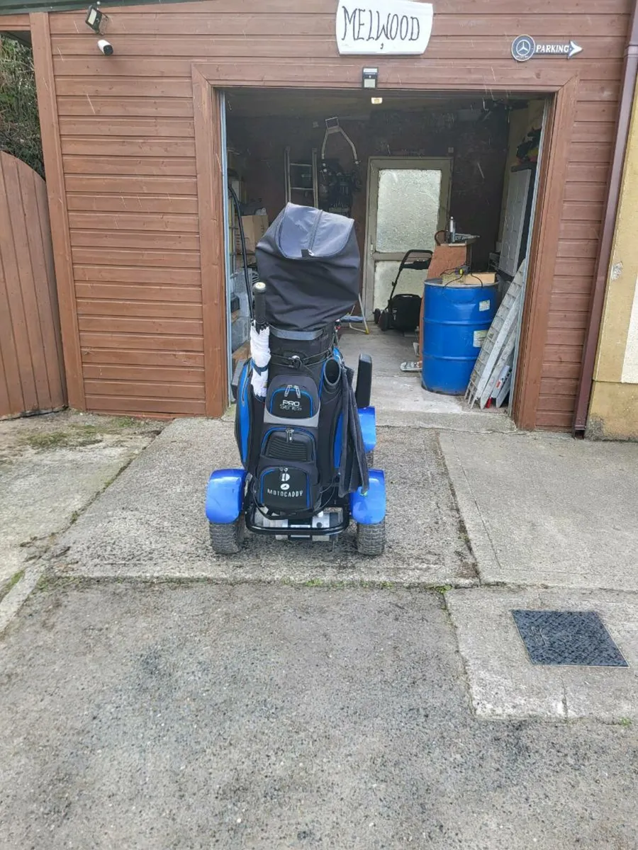 Single seat golf buggy - Image 2