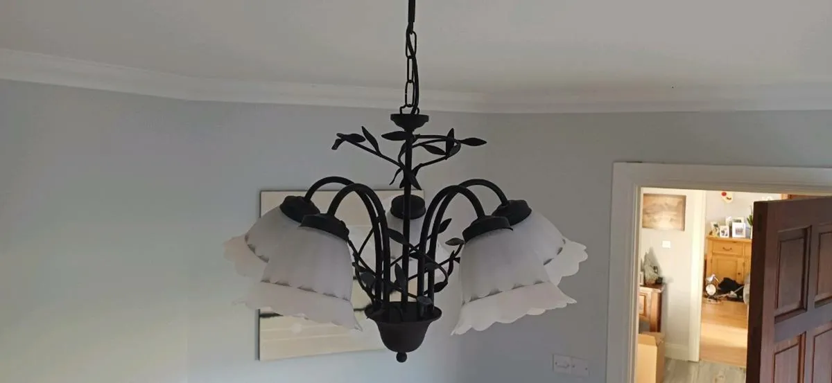 Iron Light Fitting (Black) - Image 1