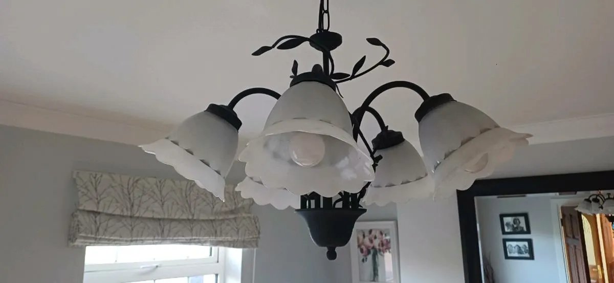 Iron Light Fitting (Black) - Image 2