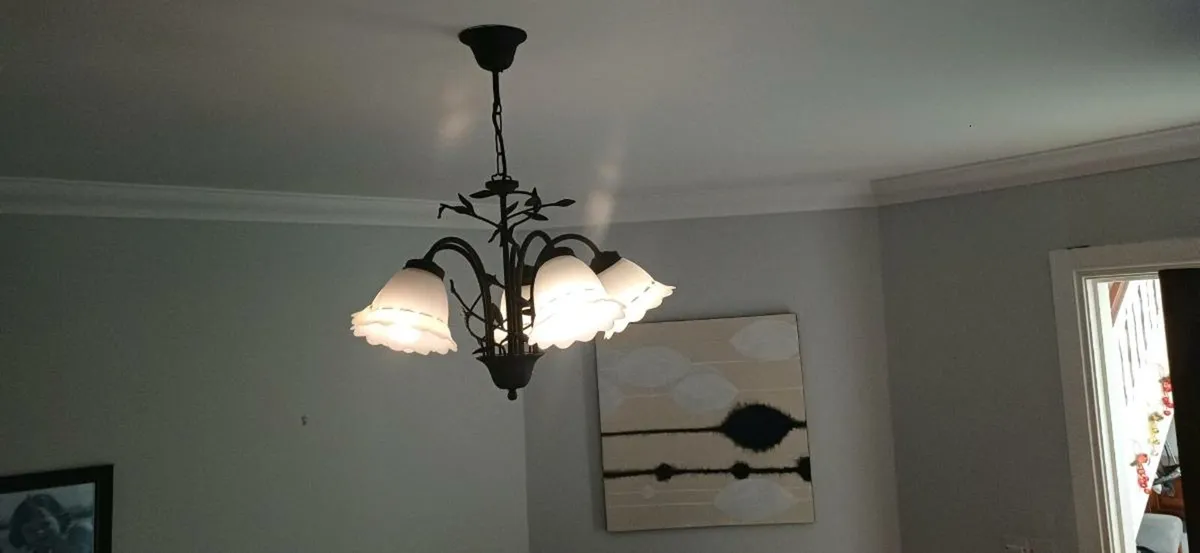 Iron Light Fitting (Black) - Image 3