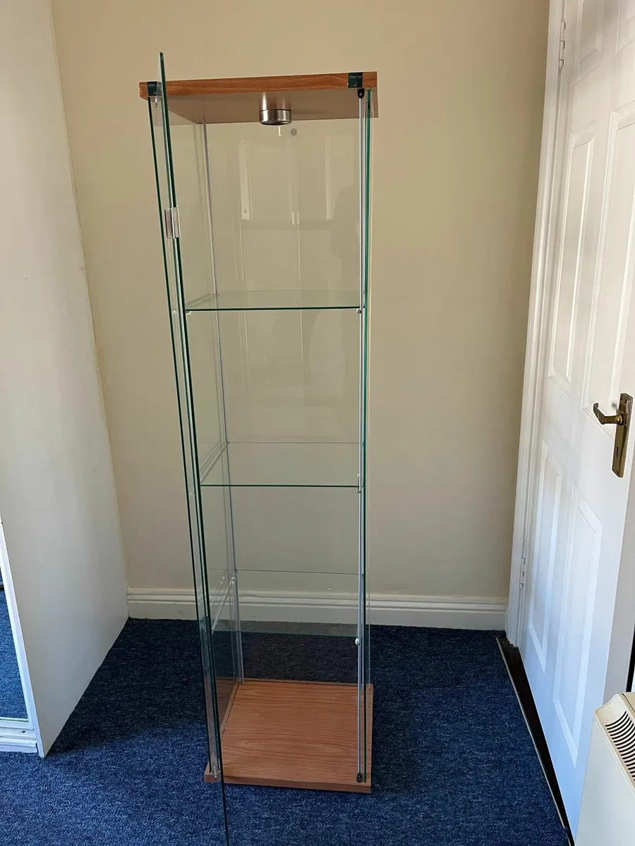 Glass Display Case - Image 4