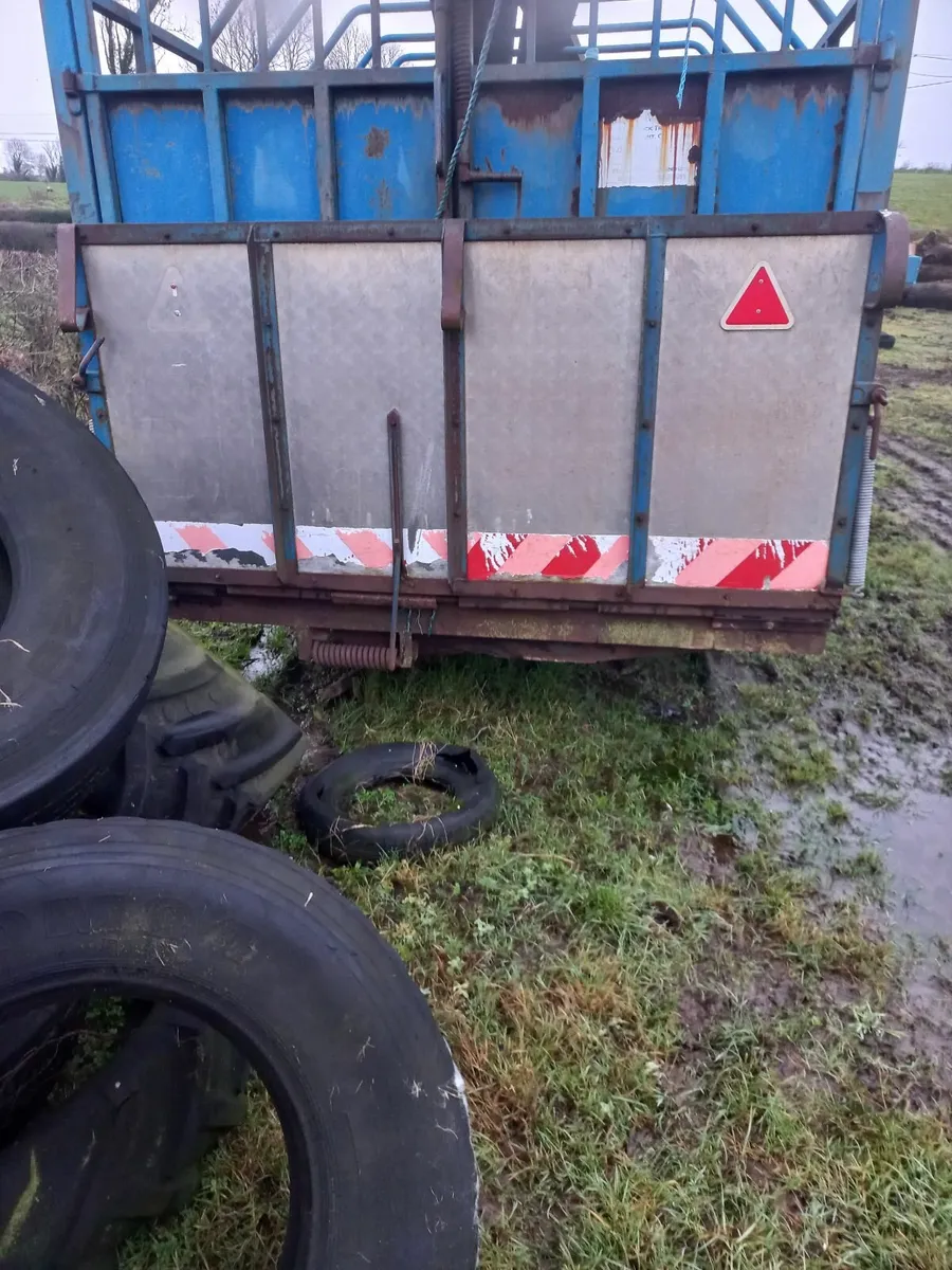 14ft bluemount cattle trailer - Image 2