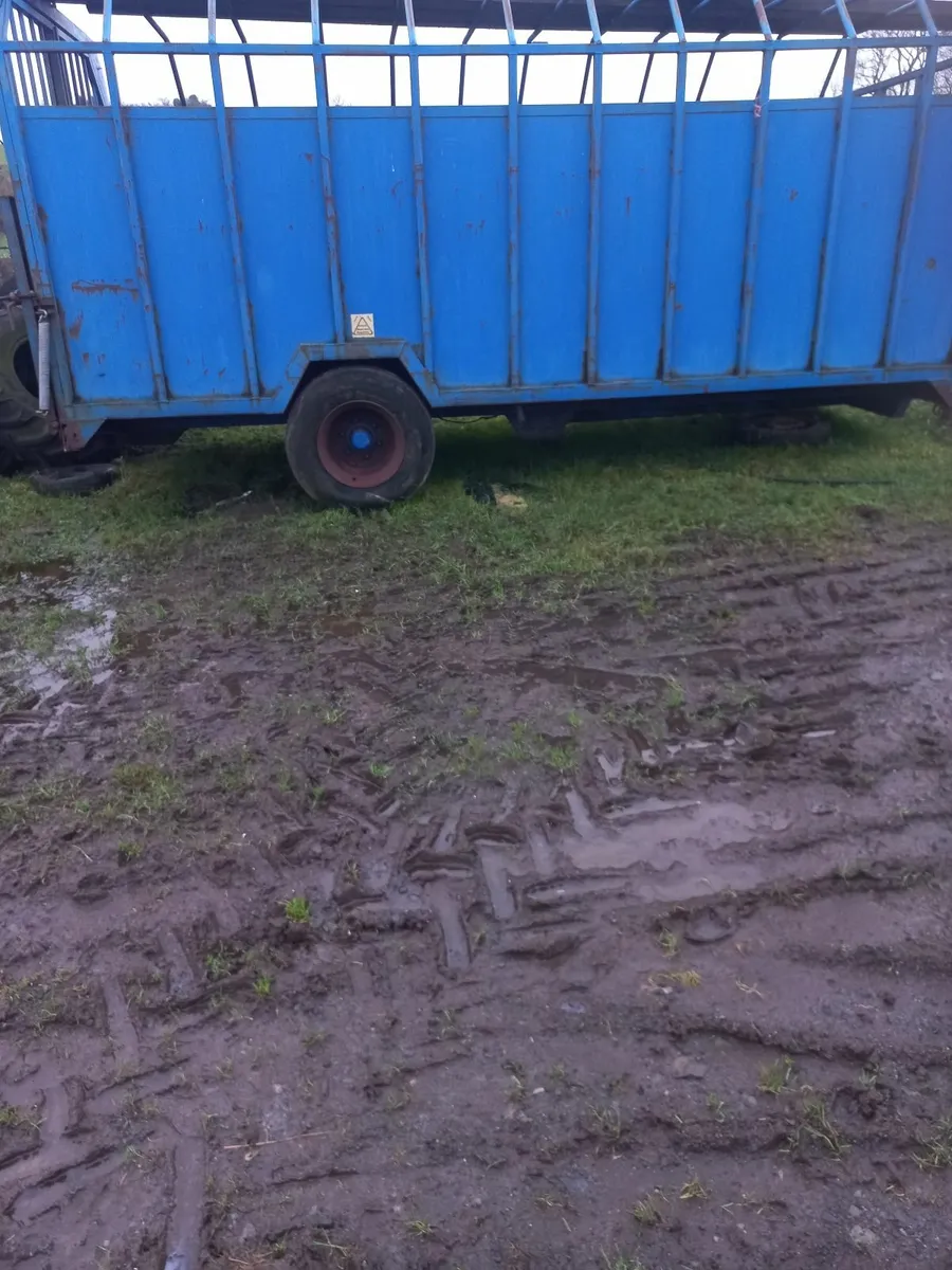 14ft bluemount cattle trailer - Image 3