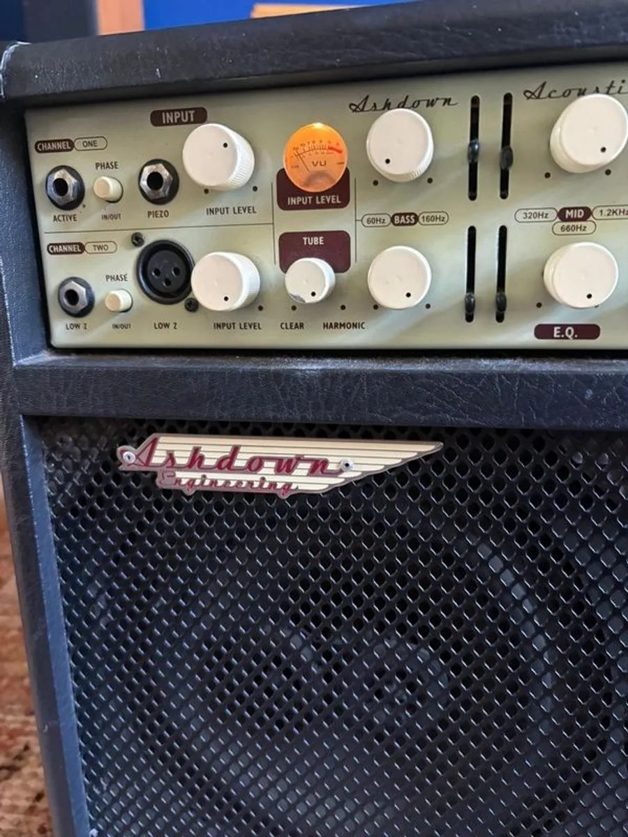 Acoustic Guitar Amp - Image 2