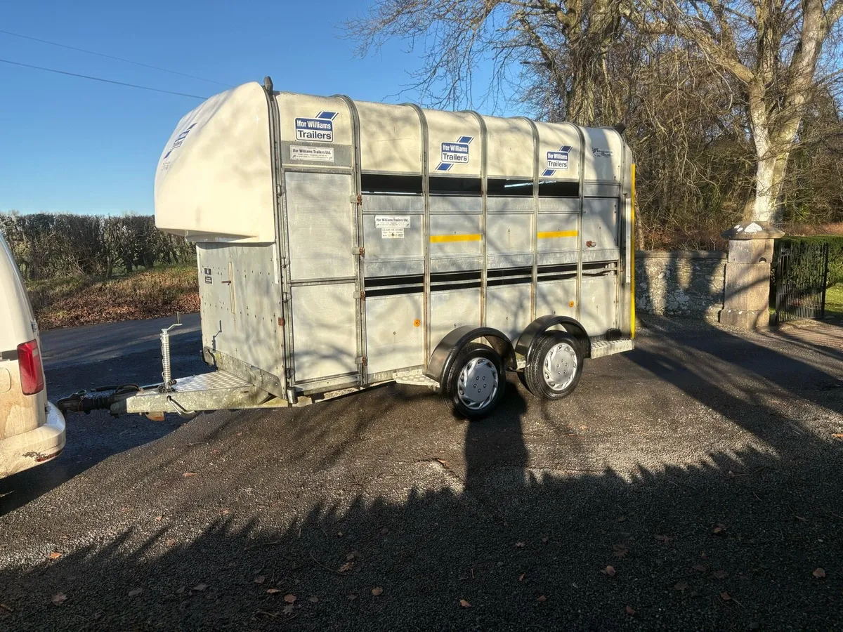 2012 ifor Williams high roof - Image 2