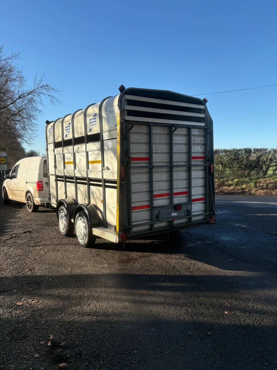 2012 ifor Williams high roof - Image 3