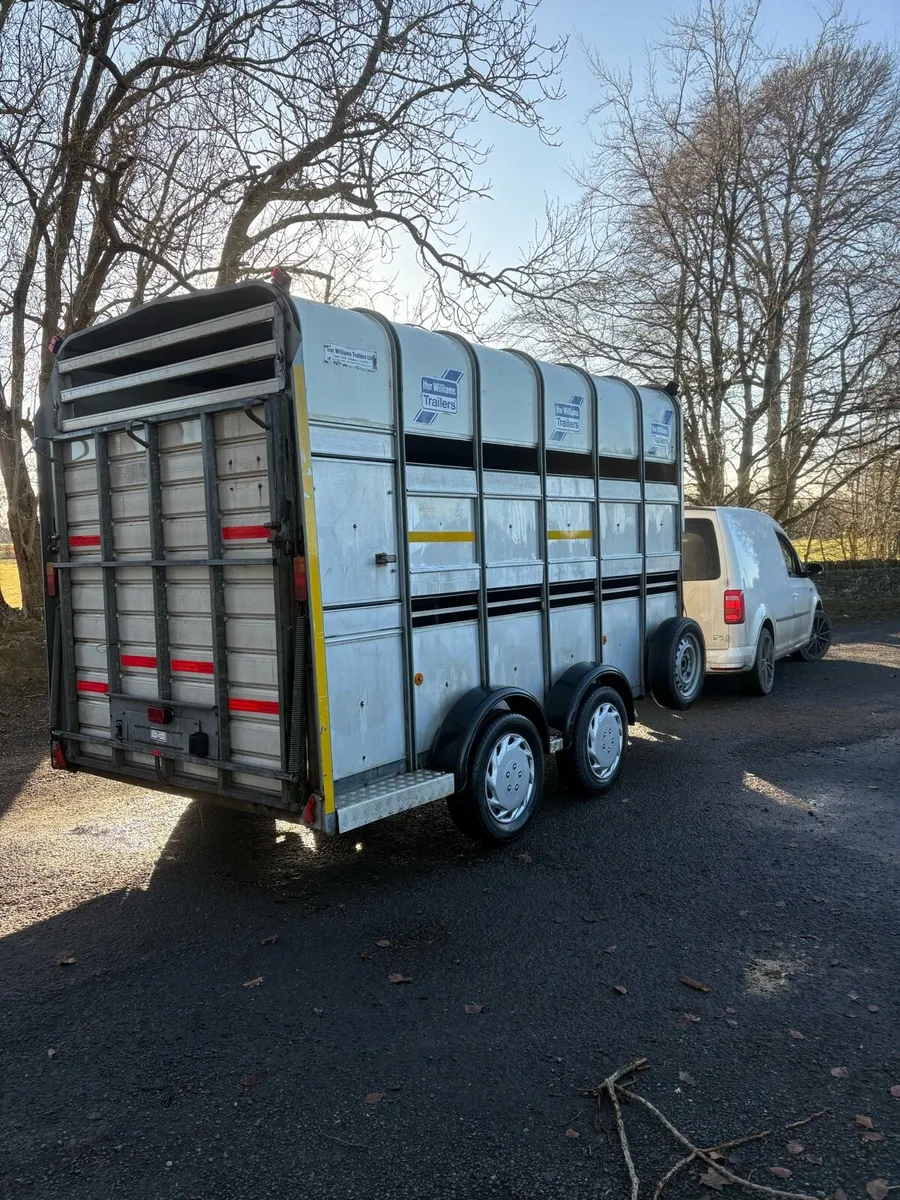 2012 ifor Williams high roof - Image 4