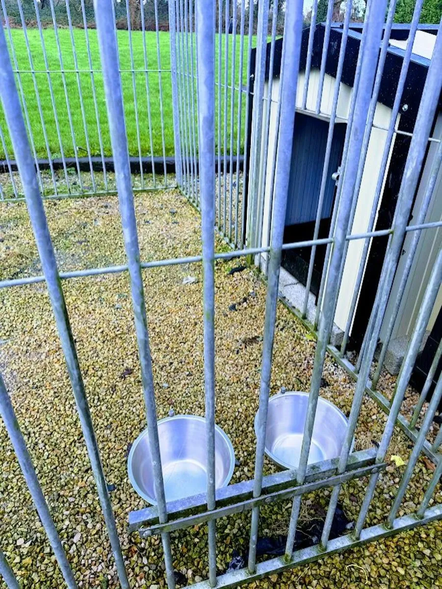 Large Dog Run and Kennel/Dog house - Image 2