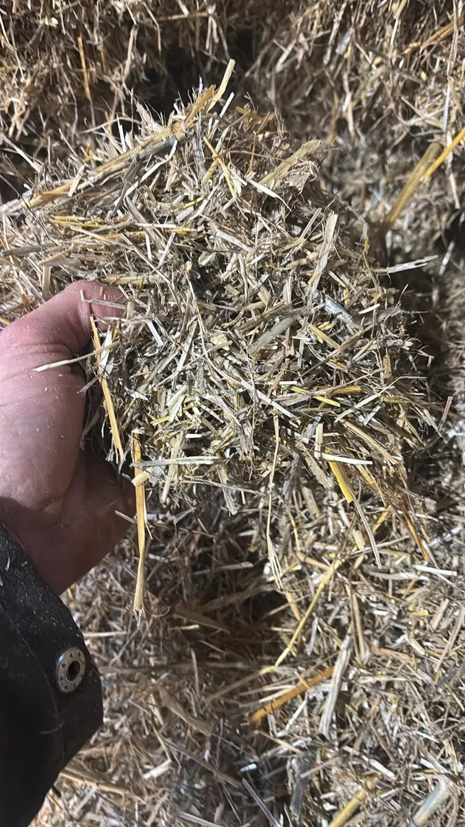Chopping Straw - Image 2