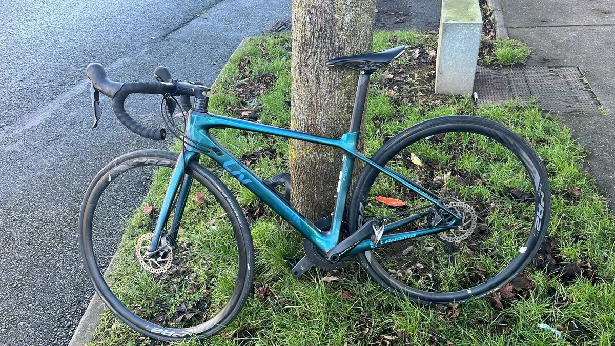 Giant Liv Carbon Road Bike
