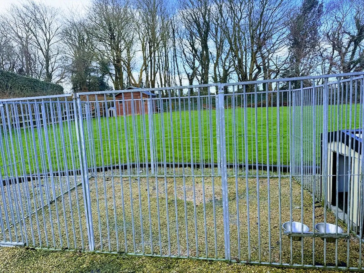 Large Dog Run and Kennel/Dog house - Image 1