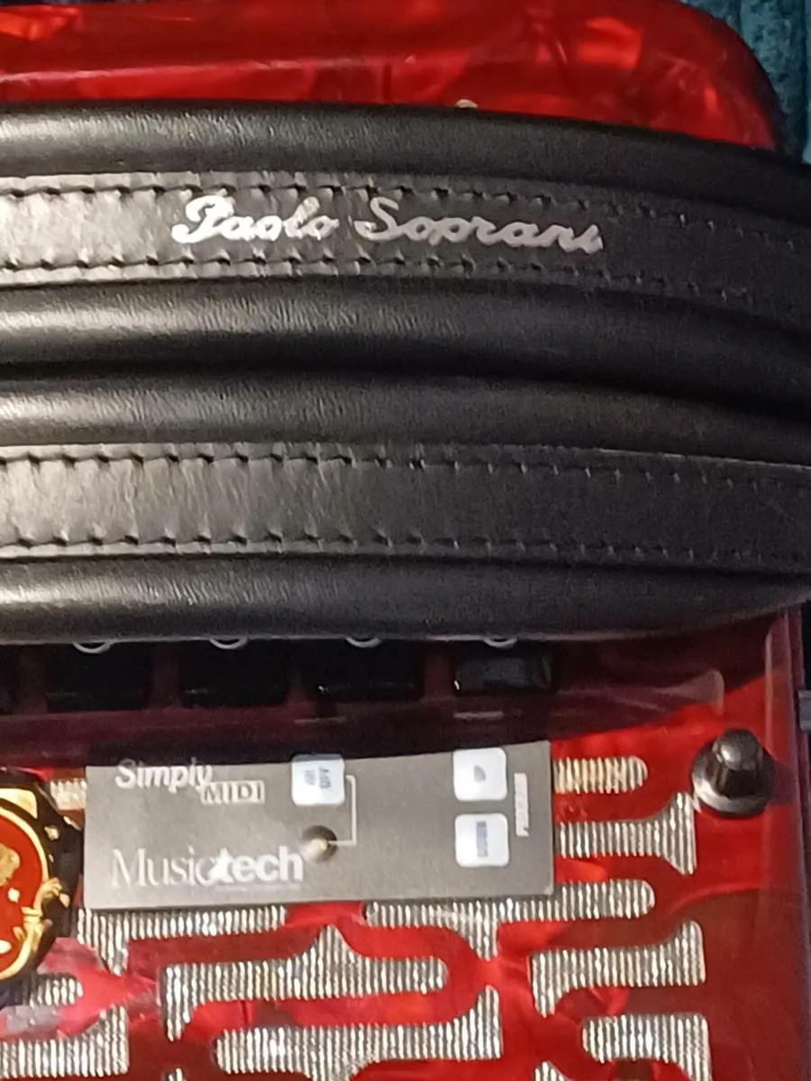 Paolo Soprani MIDI Accordion - Image 4
