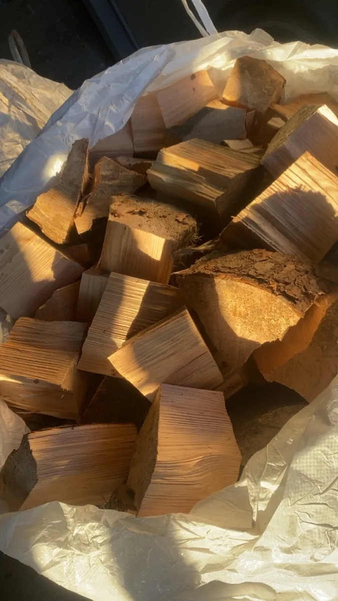 Fire wood - Image 2