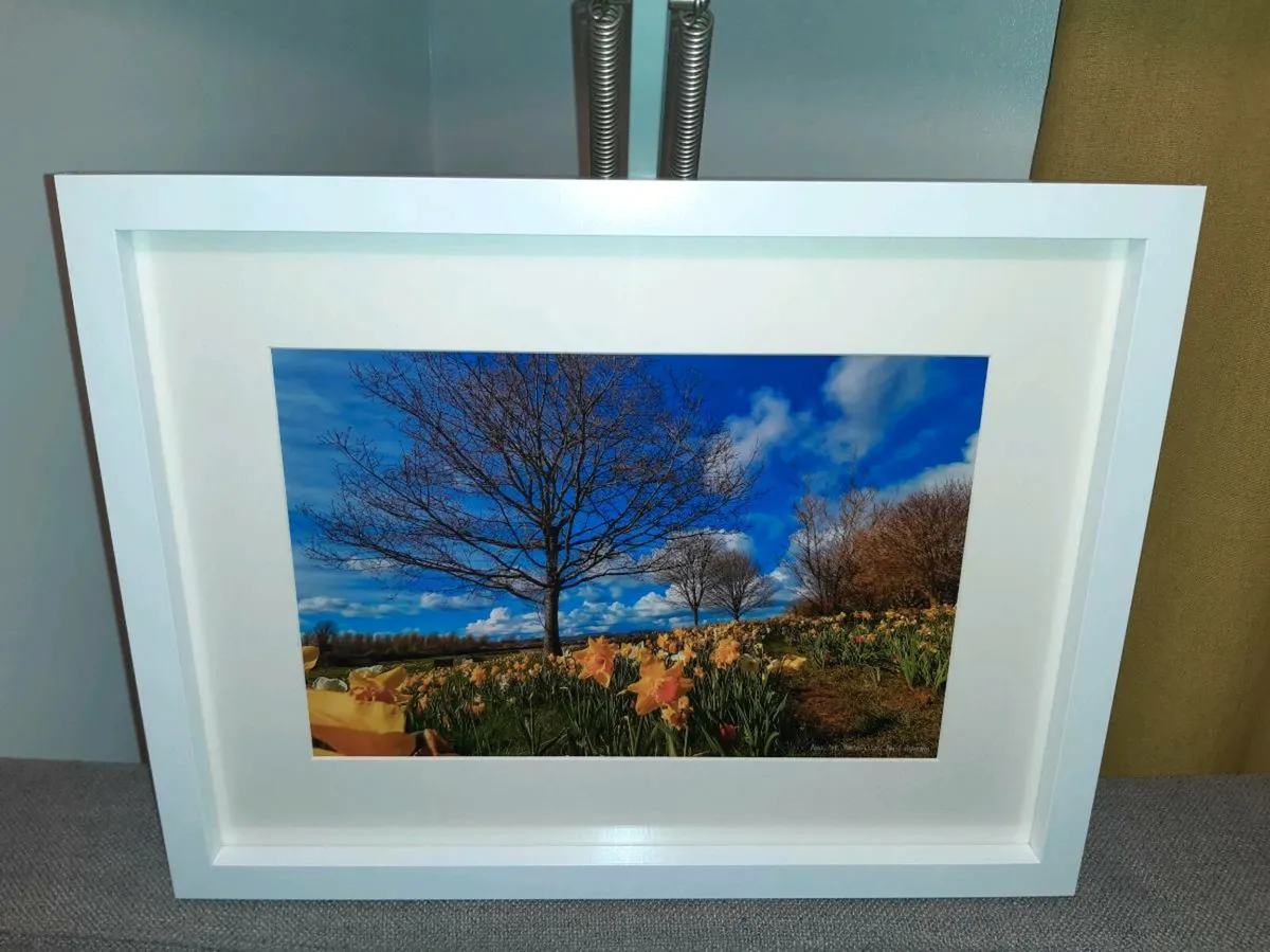 Bailick Park, Midleton - Image 4