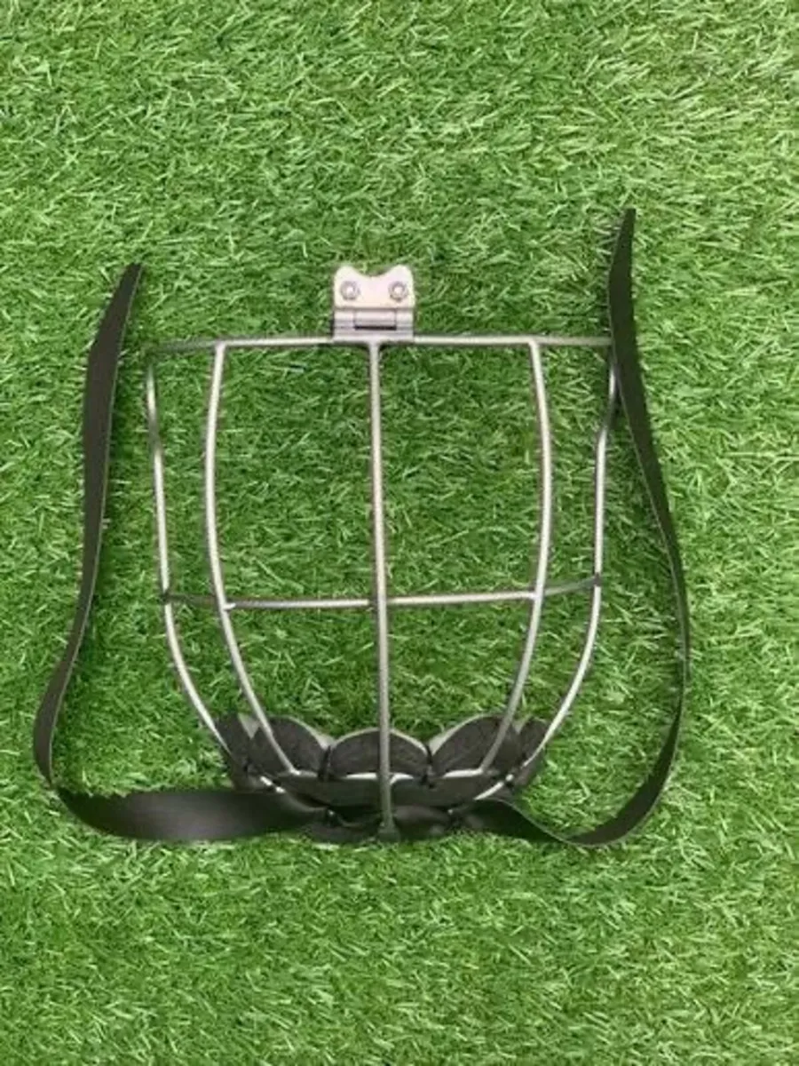 Brian Walsh Guards (Wanted) - Image 1