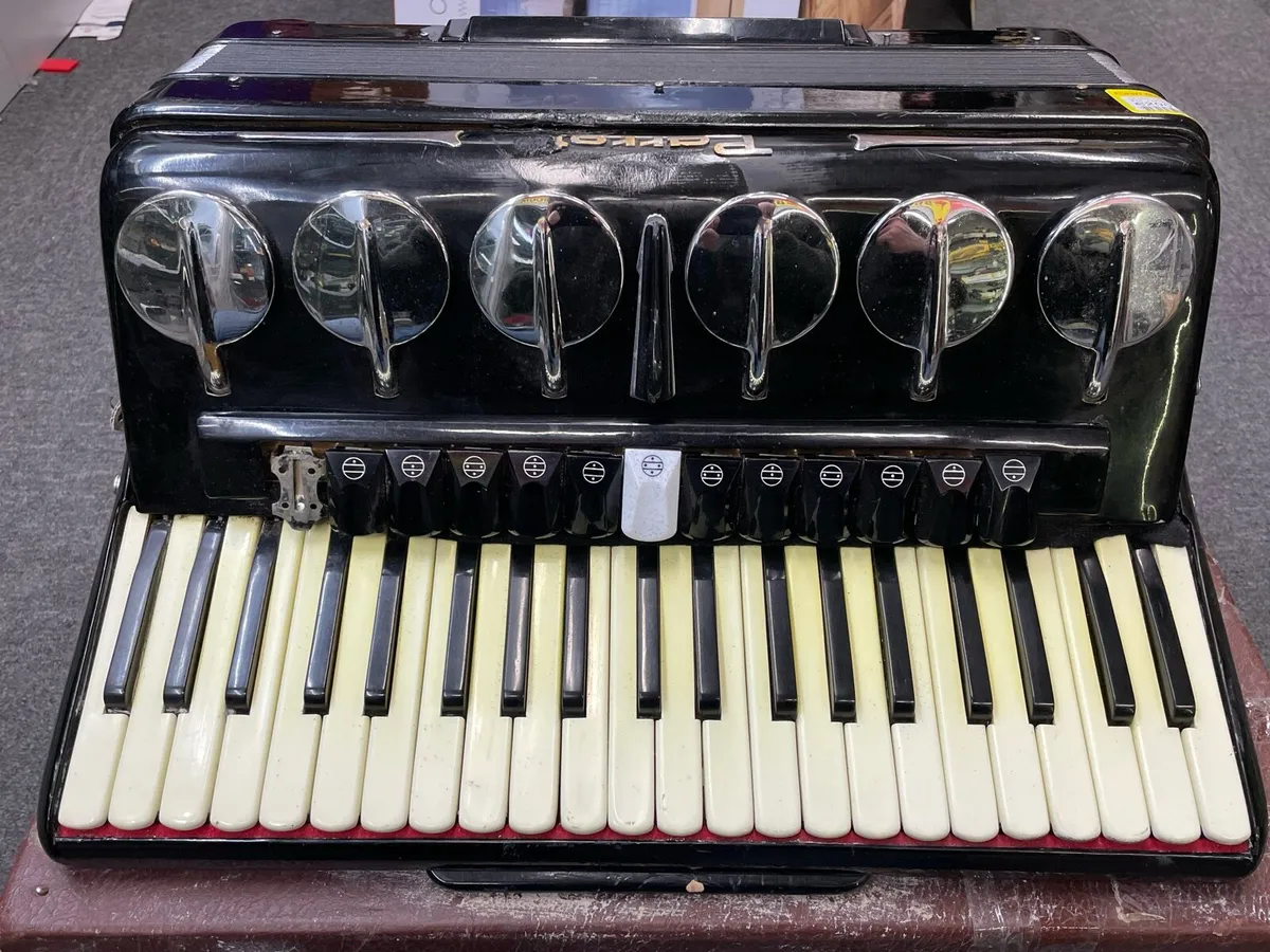 Parrot Accordian - Image 3