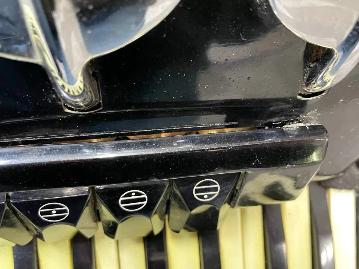 Parrot Accordian - Image 4