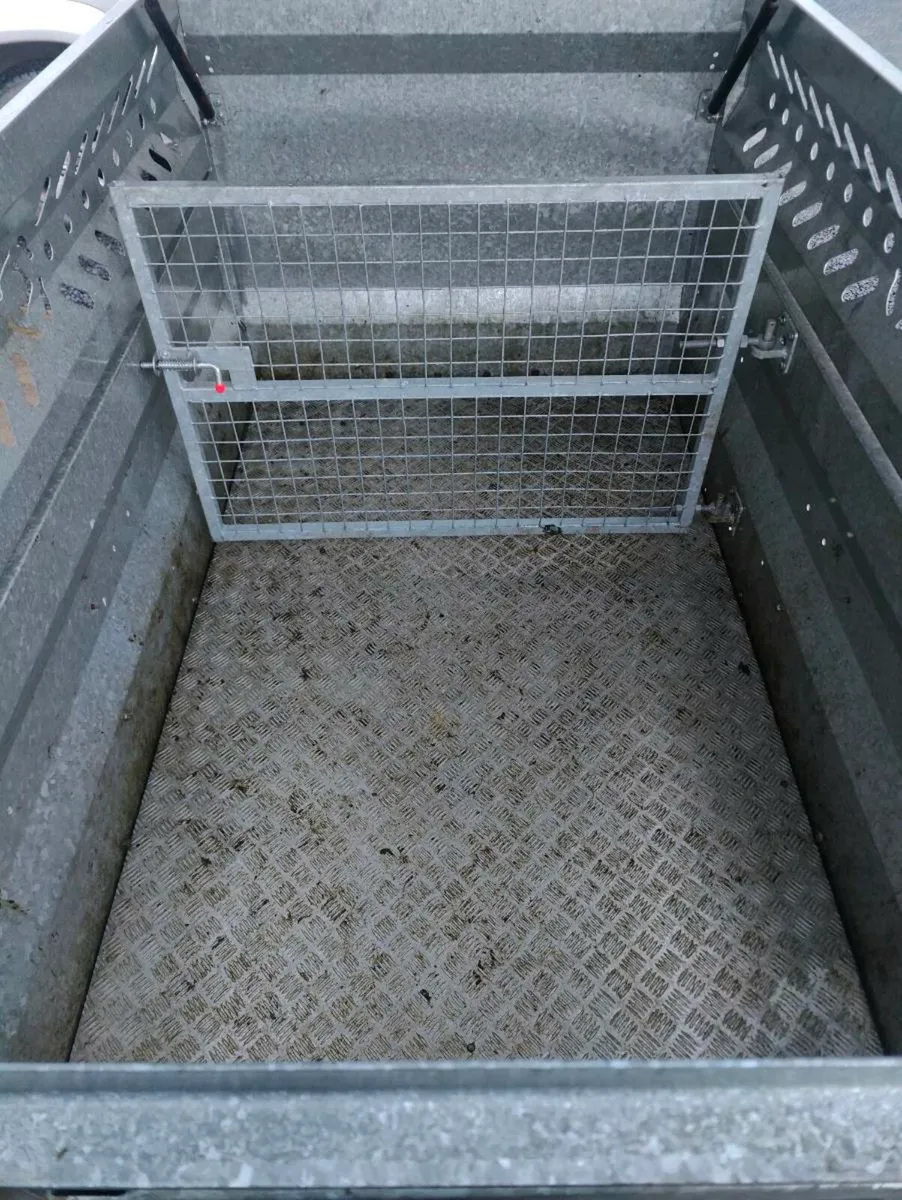 Chapman 7x4.5ft trailer - Image 4