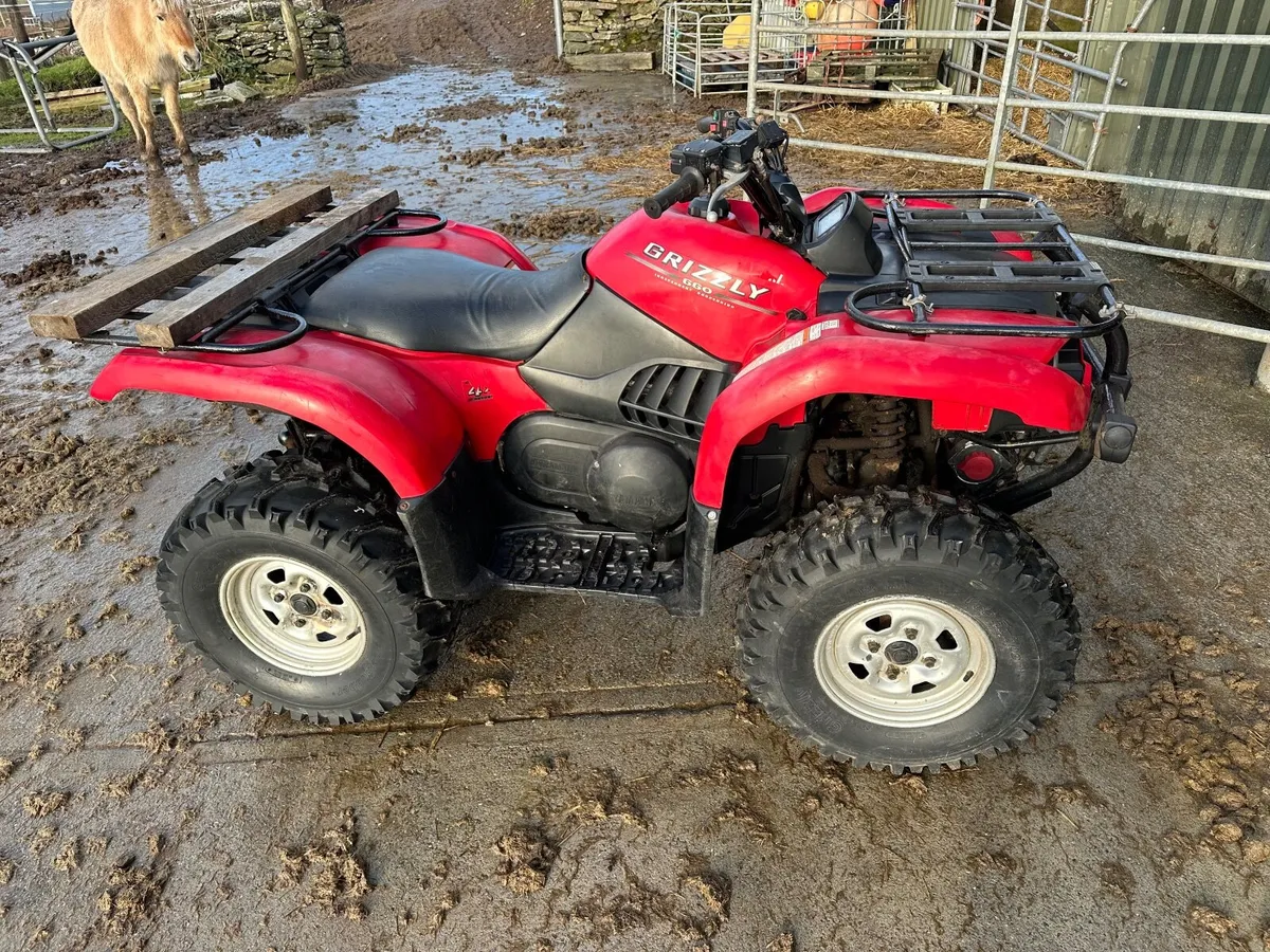 Quad bike - Image 4