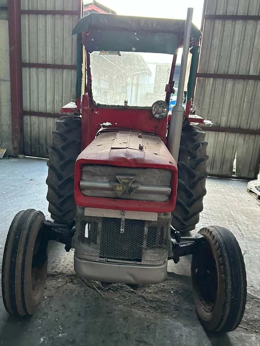 Massey Ferguson 135 with Tax Book - Image 1