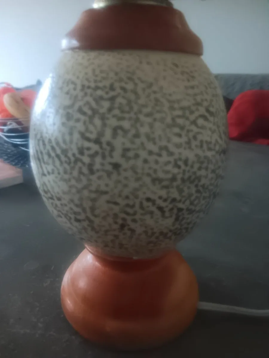 Ostrich egg lamp - Image 1