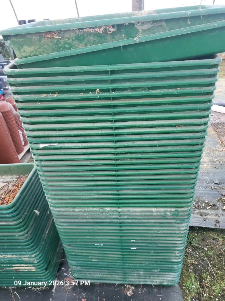 Nursery pots - Image 2