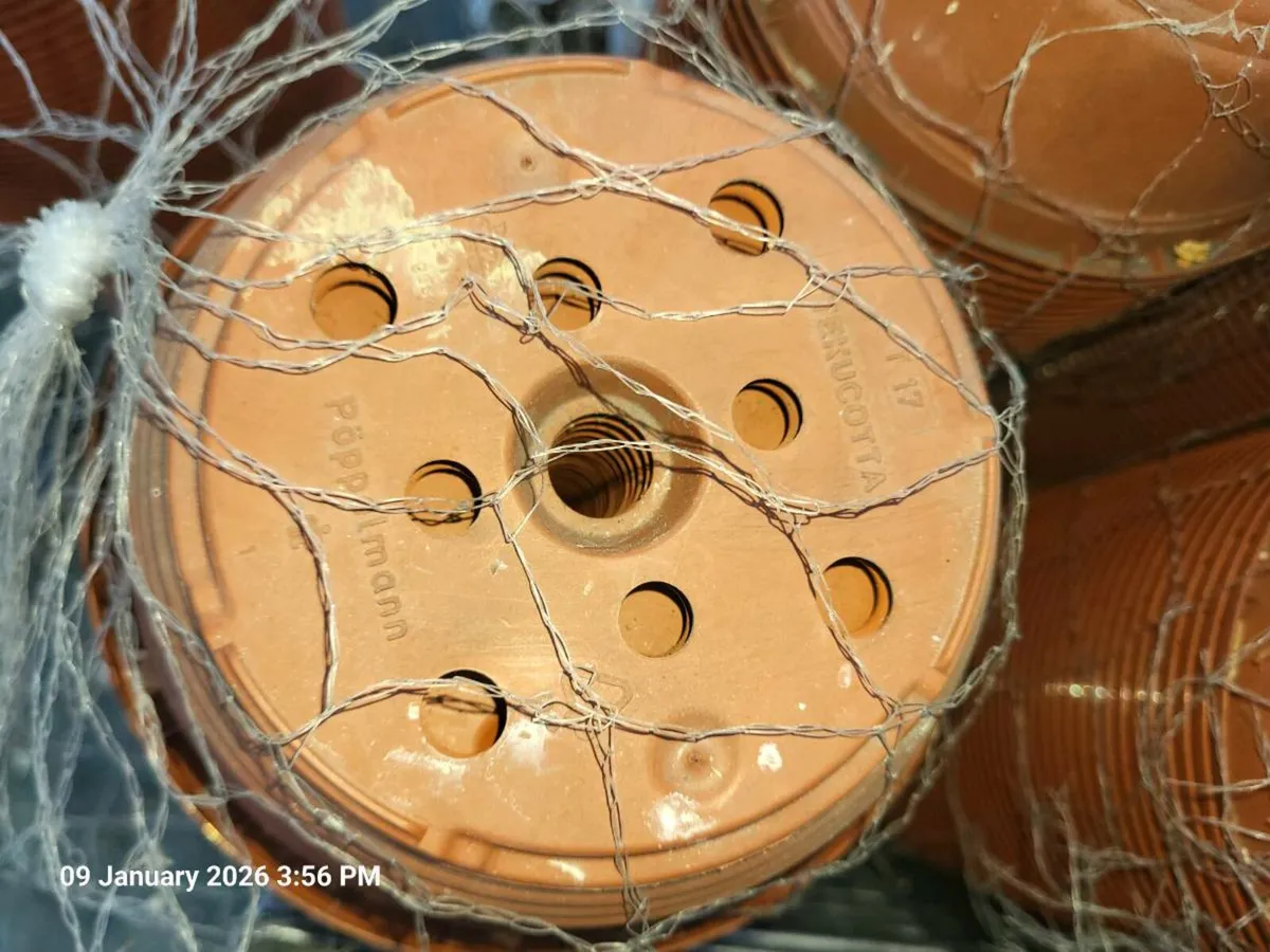 Nursery pots - Image 3