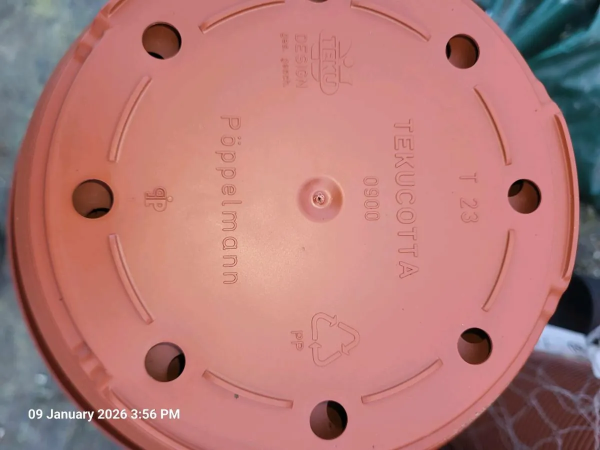 Nursery pots - Image 4