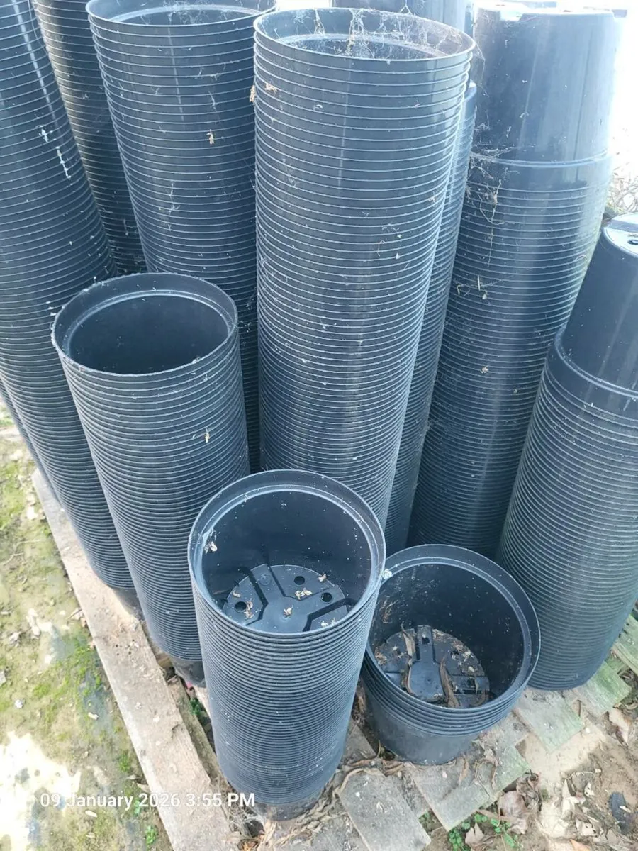 Nursery pots - Image 1