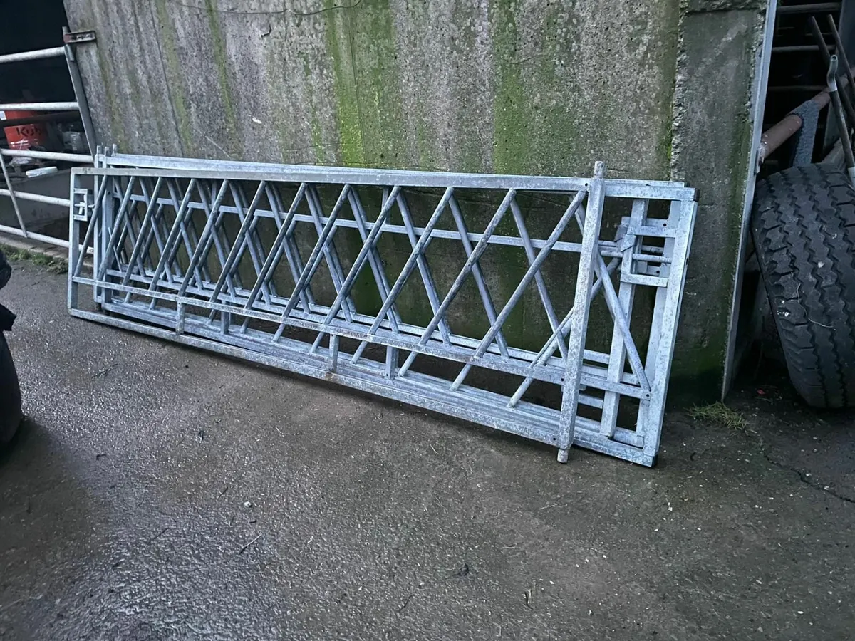 Calf headfeed gates - Image 1