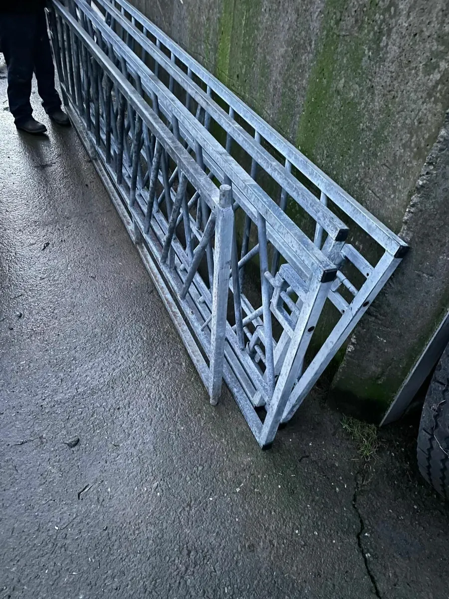 Calf headfeed gates - Image 2