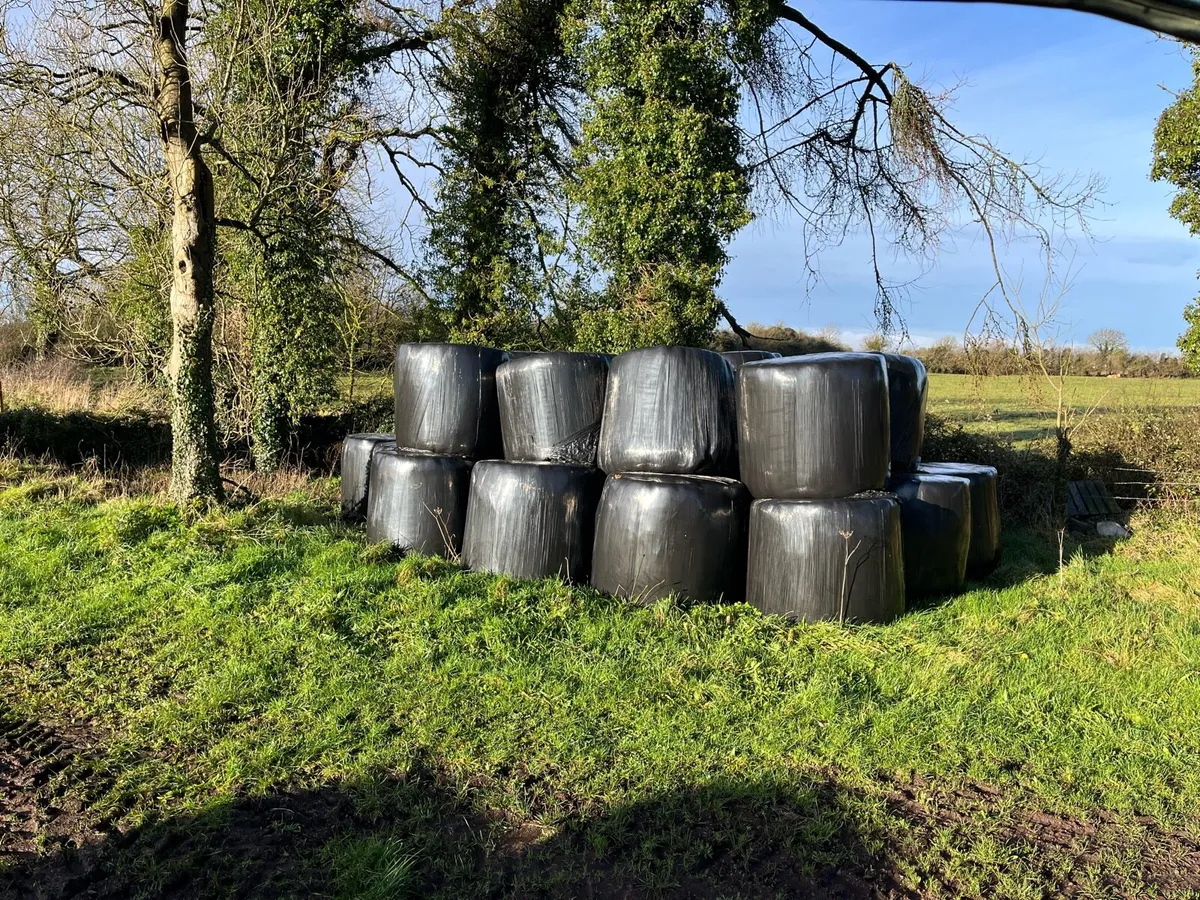 Silage bales