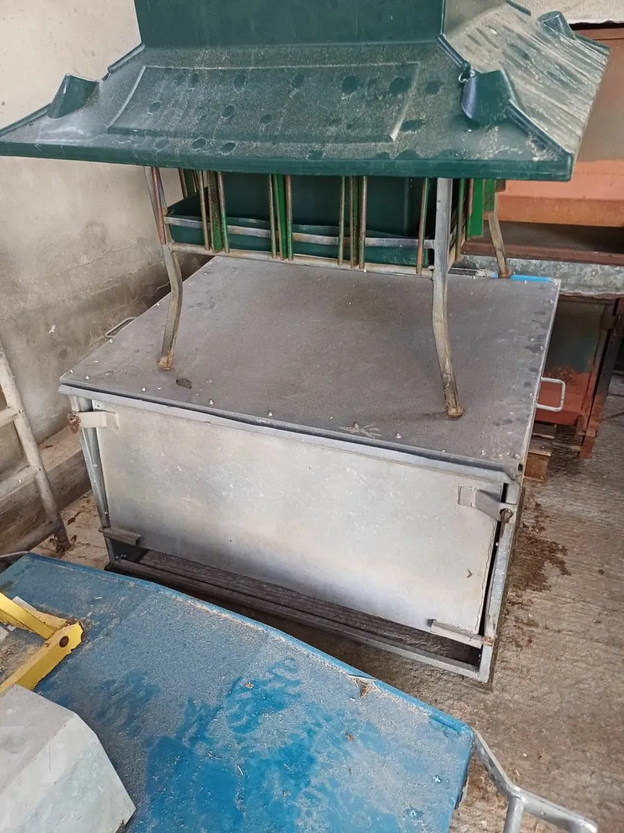 Sheep feeder - Image 3