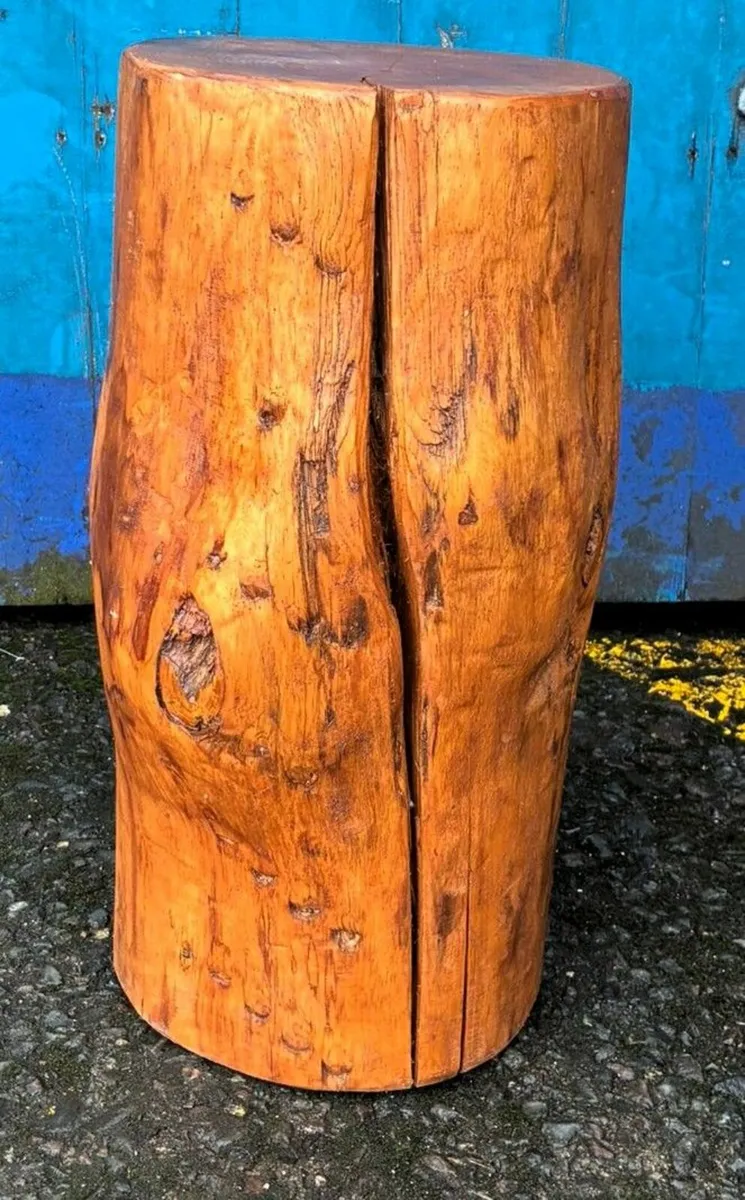 LIVE EDGE WOOD TABLE & STOOL - Image 4