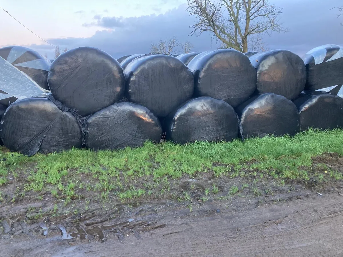 Silage bales